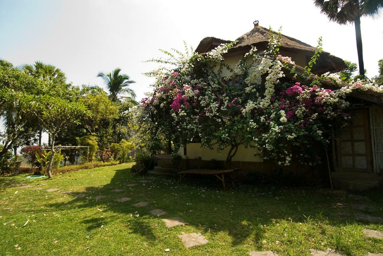 Gaia-Oasis Mountain Abasan Hotel Tejakula Bagian luar foto