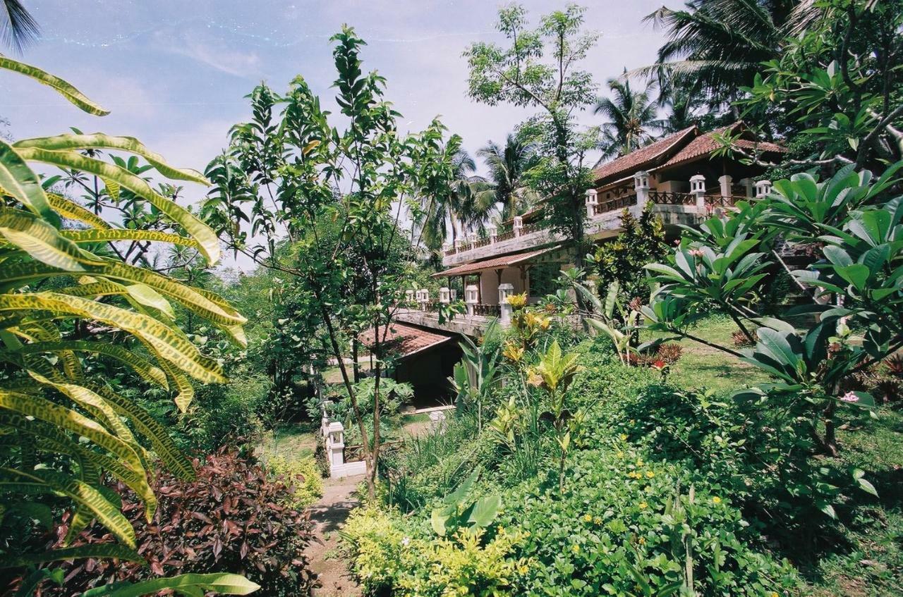 Gaia-Oasis Mountain Abasan Hotel Tejakula Bagian luar foto